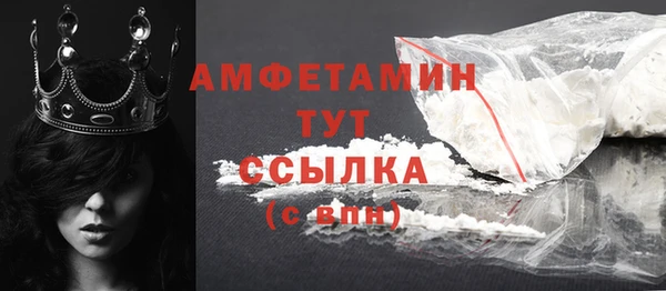 гидра Володарск
