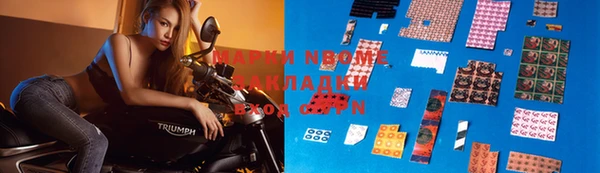 индика Волоколамск