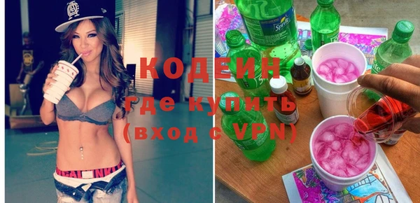 индика Волоколамск