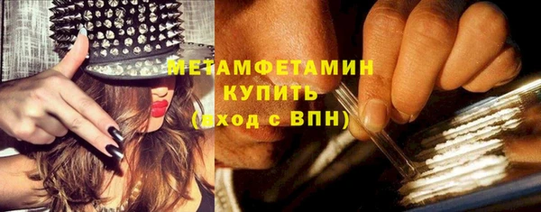 гидра Володарск