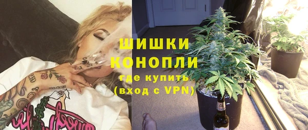 индика Волоколамск