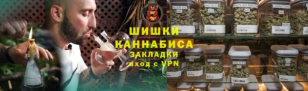 гидра Володарск