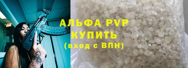индика Волоколамск
